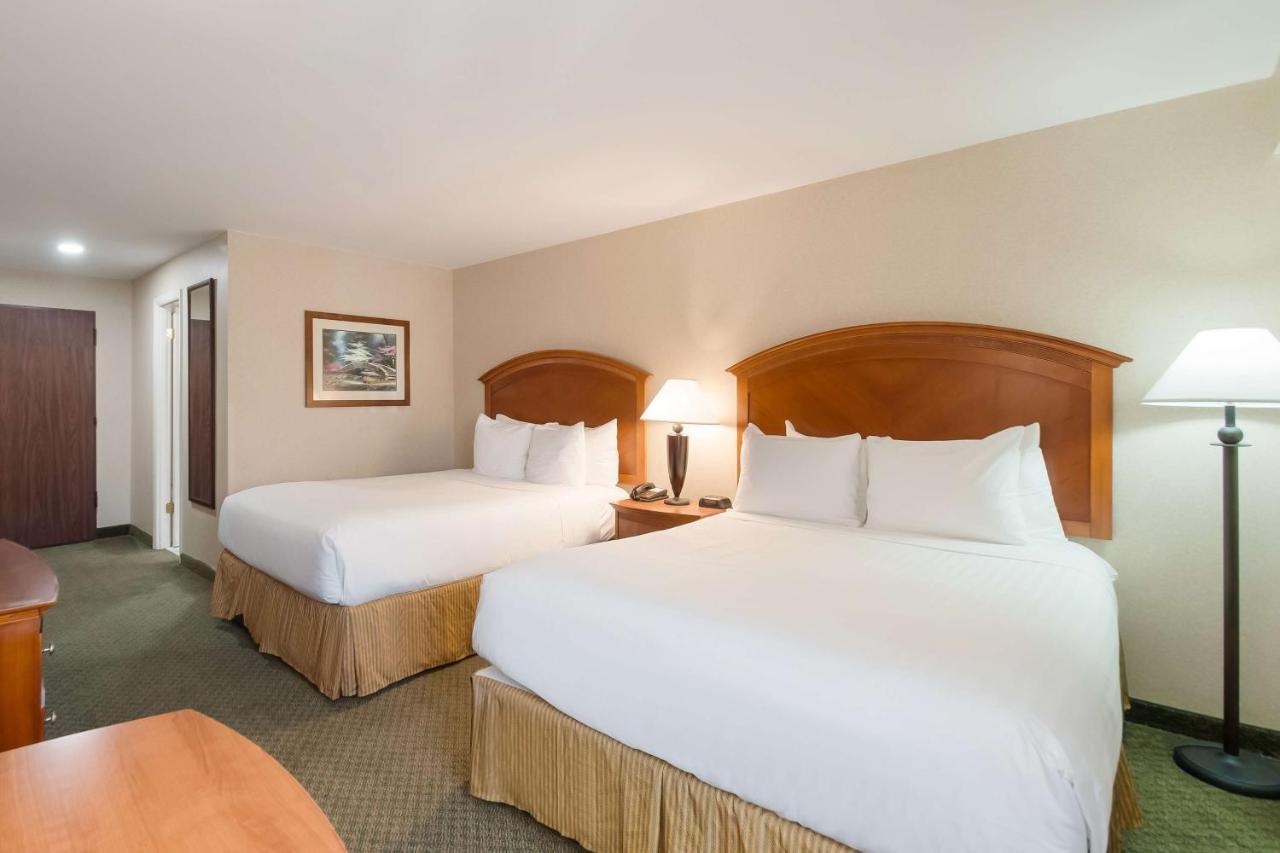 Best Western ماناساس المظهر الخارجي الصورة